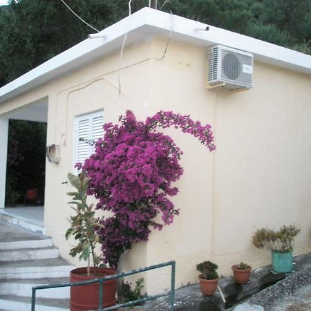 Faliraki Apartments Benitses  Luaran gambar