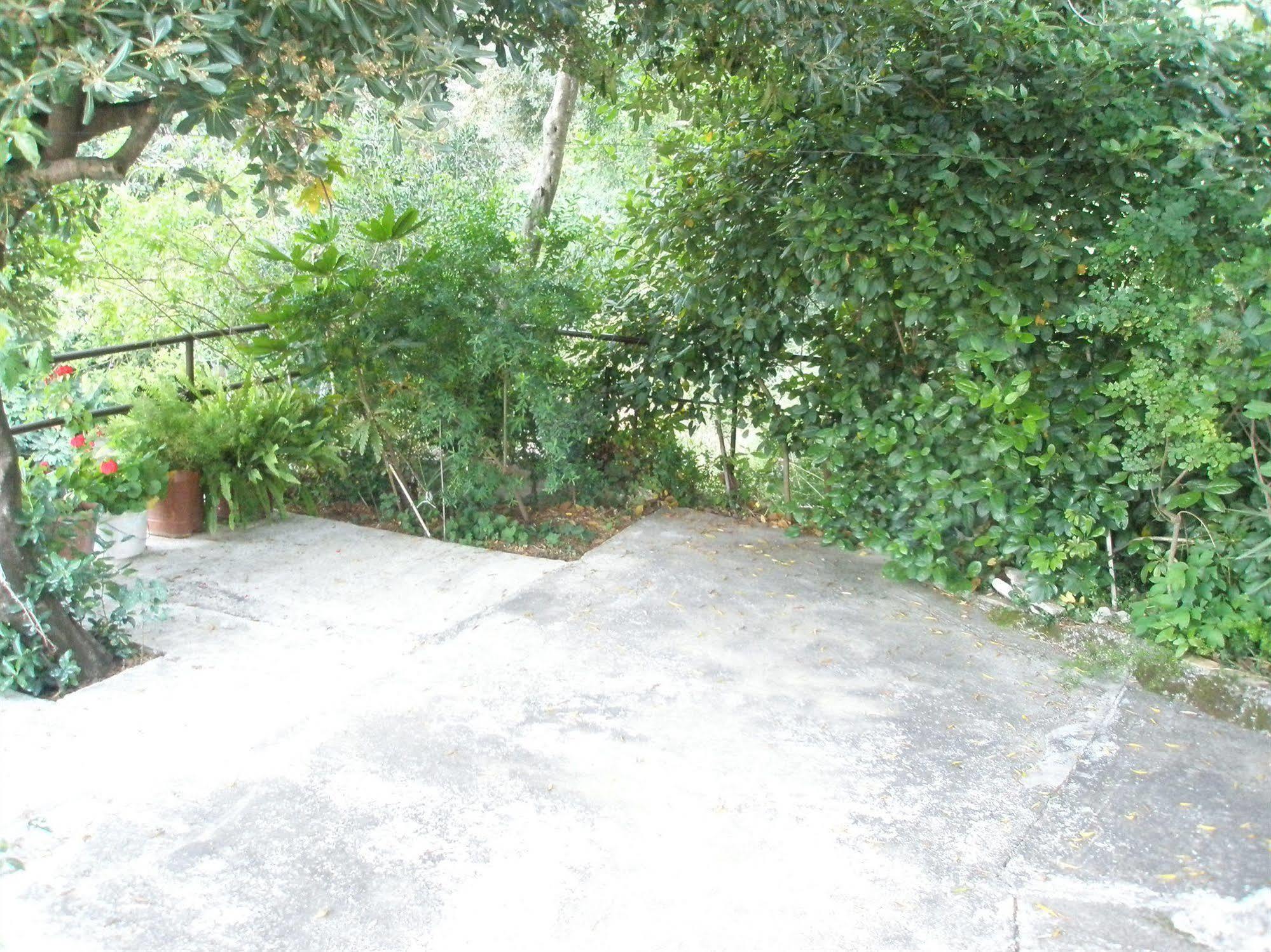 Faliraki Apartments Benitses  Luaran gambar