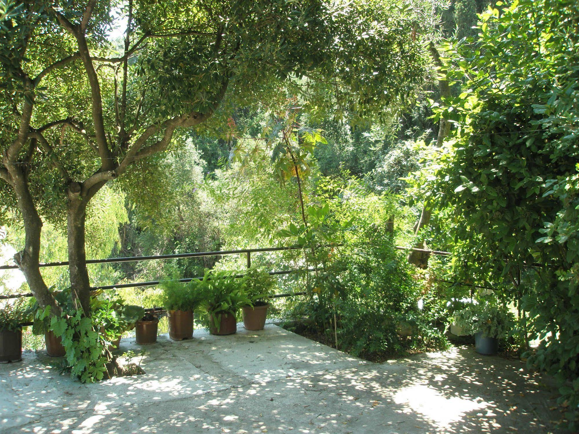 Faliraki Apartments Benitses  Luaran gambar